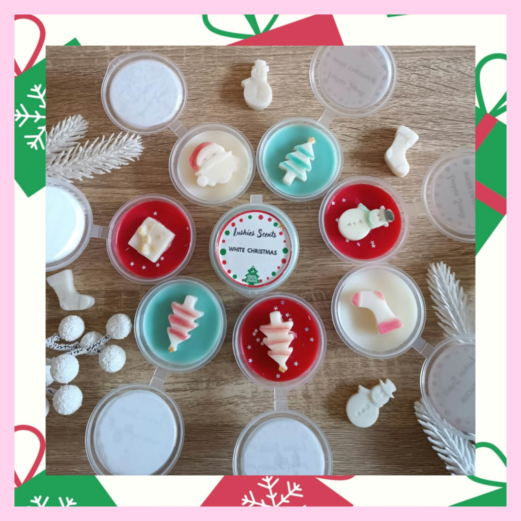 CHRISTMAS DISCOVERY  PERMIUM BOX