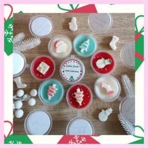 CHRISTMAS DISCOVERY  PERMIUM BOX